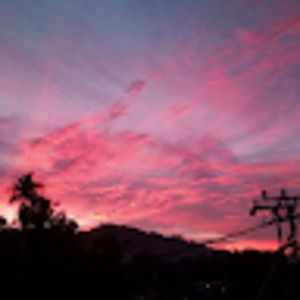 Meet your Posher, Lily